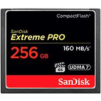 Memoria sandisk 256gb compactflash
